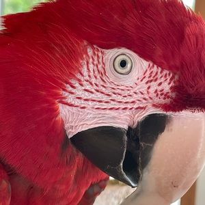 Meet your Posher, Mary